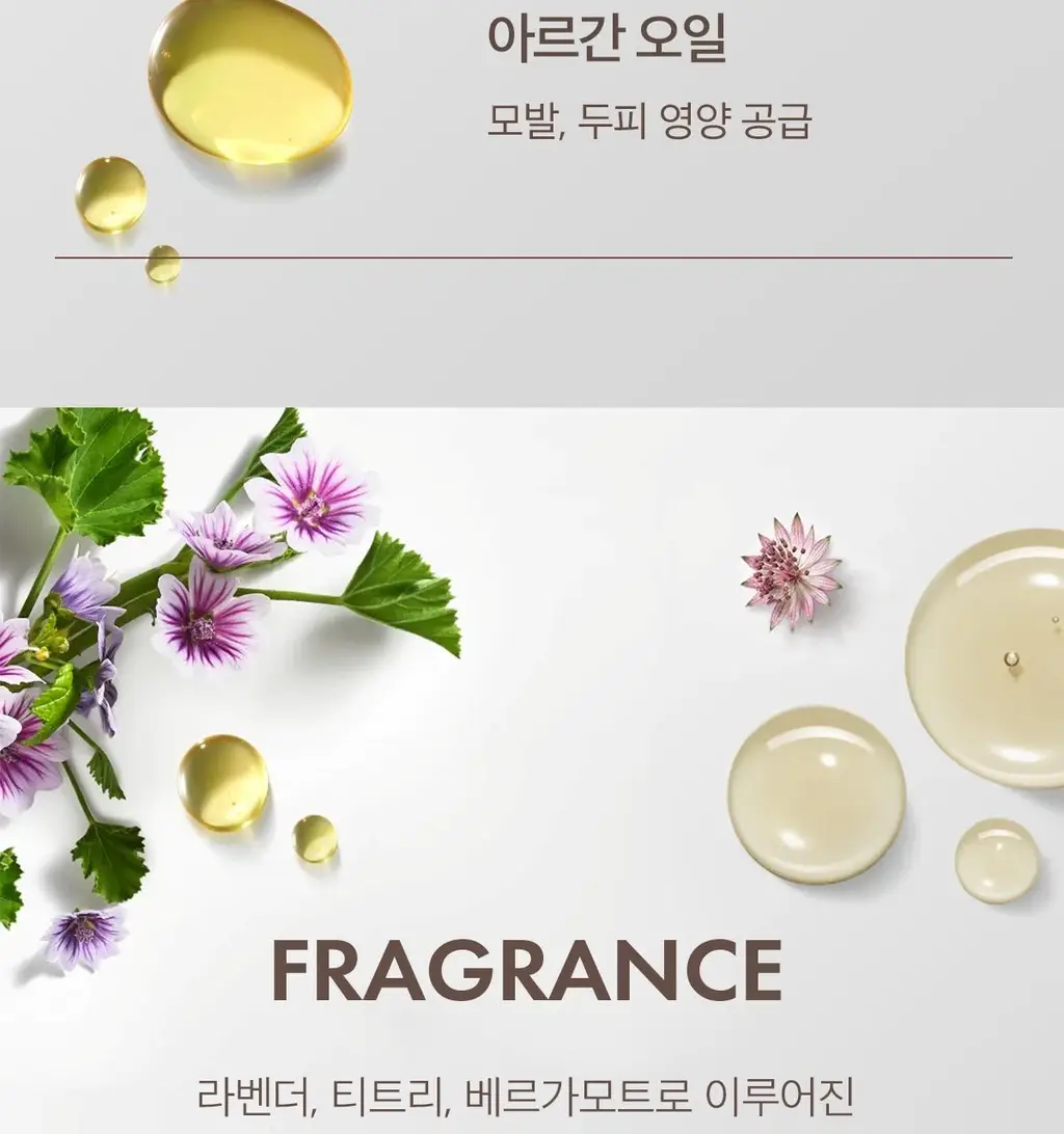[두피 케어] 모로칸오일 스칼프 밸런싱 샴푸 250ml 상세페이지 19